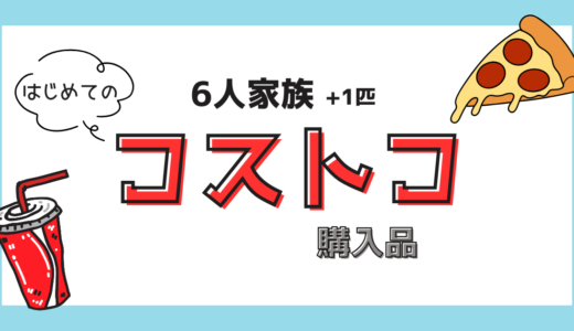 6人家族初めてのコストコ🛒✨：購入品紹介